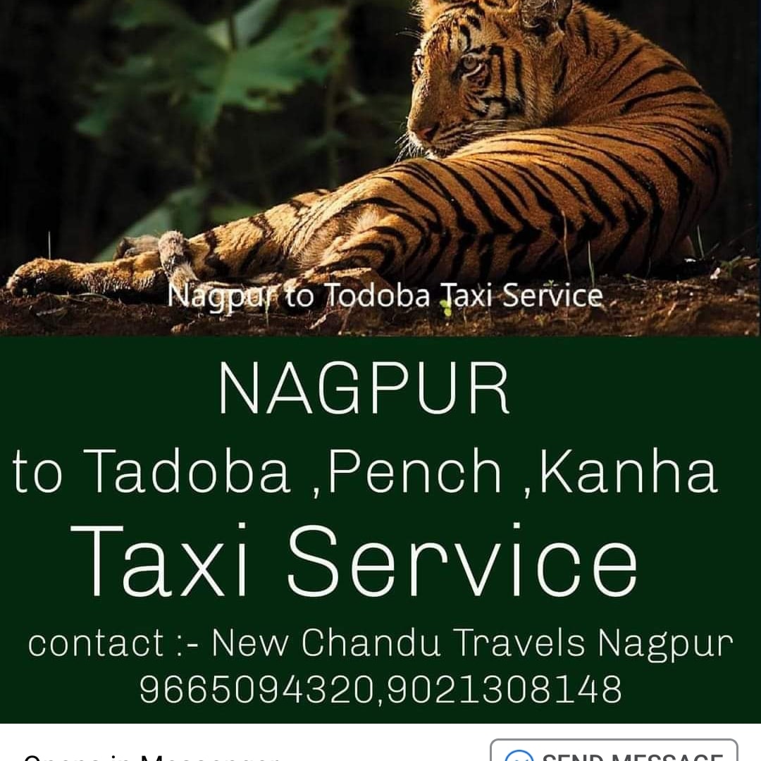 New Chandu Travels Nagpur - Tadoba Pench Cab Service