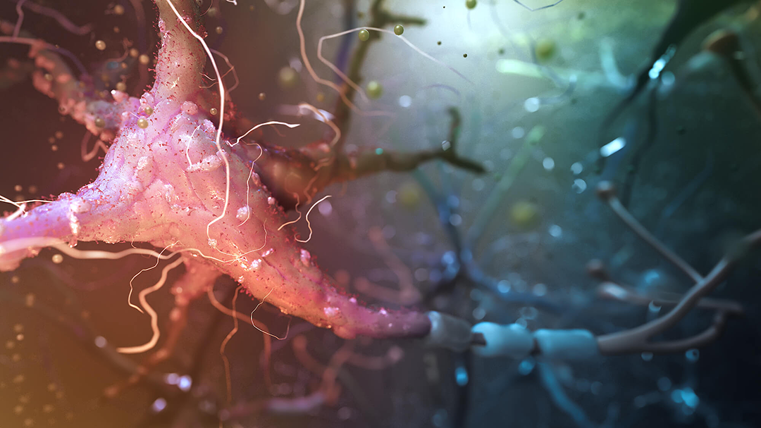 Medical Animation,Medical Videos