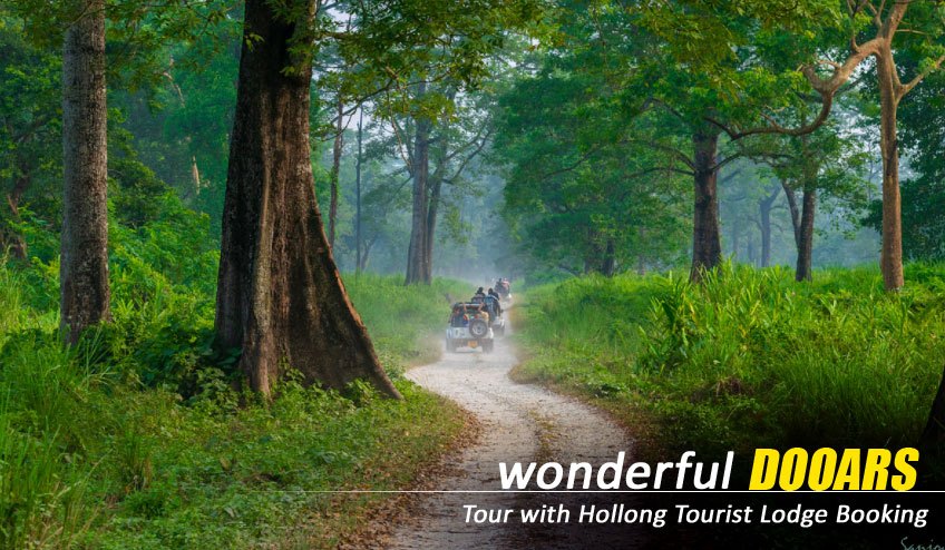 Affordable Dooars Package Tour from Siliguri: Budget-Friendly Options