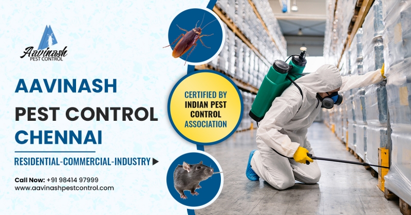 Best Pest Control Services experts in Chennai â€“ Aavinashpestcontrol