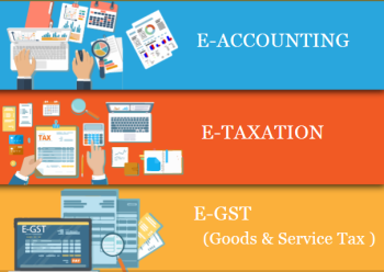 Best E-Accounting Course in Delhi, 