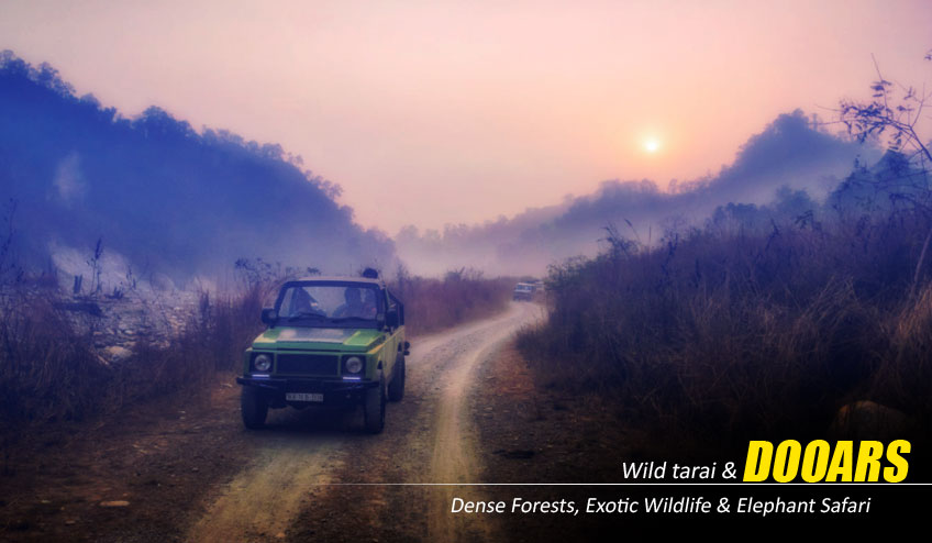 How the Dooars Tour Package Offers the Perfect Family Vacation