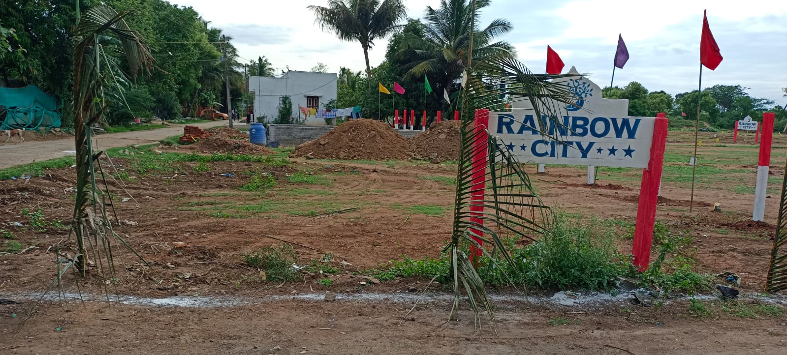 Low budget lands for sale 