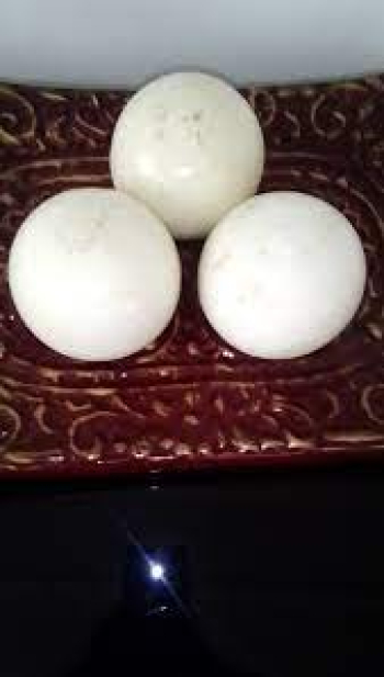 medium Clairevoyant +27634096205 psychic in Miami FL Florida